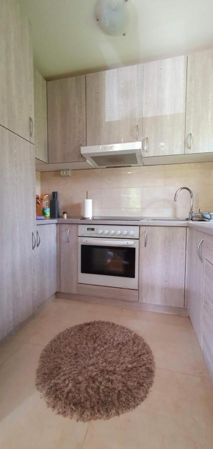Apartment Alpska Astra كْرانْيِسكا غورا المظهر الخارجي الصورة